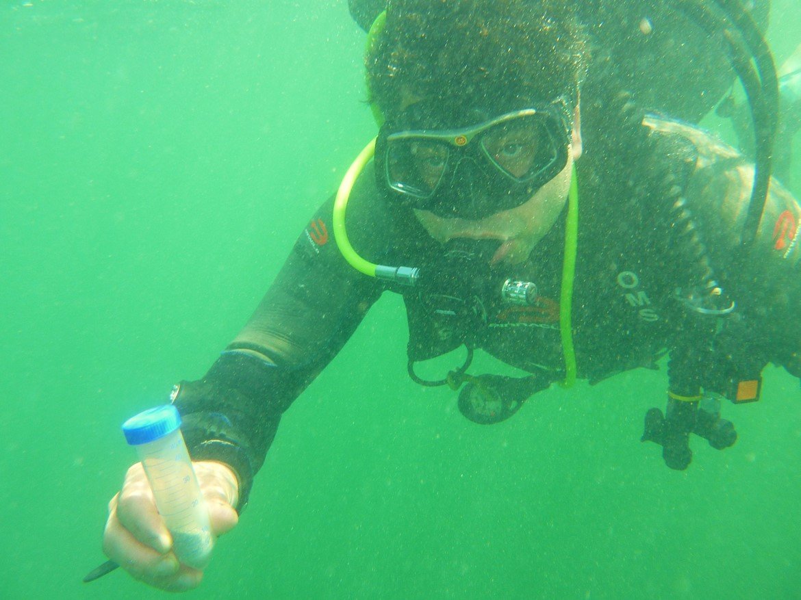 Diving for Cures