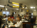 DNA ID workshop